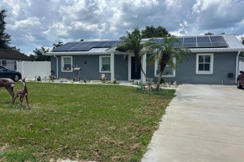 Villa ou maison à Thonotosassa, Floride 3 chambres, 164.16 m2 № 2290676