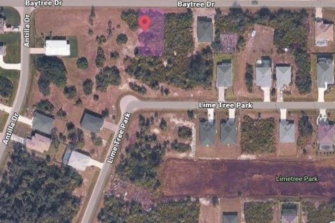 Land in Rotonda, Florida № 2229341 - photo 4