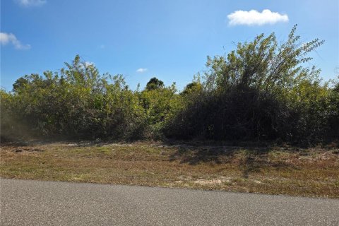 Land in Rotonda, Florida № 2229341 - photo 8