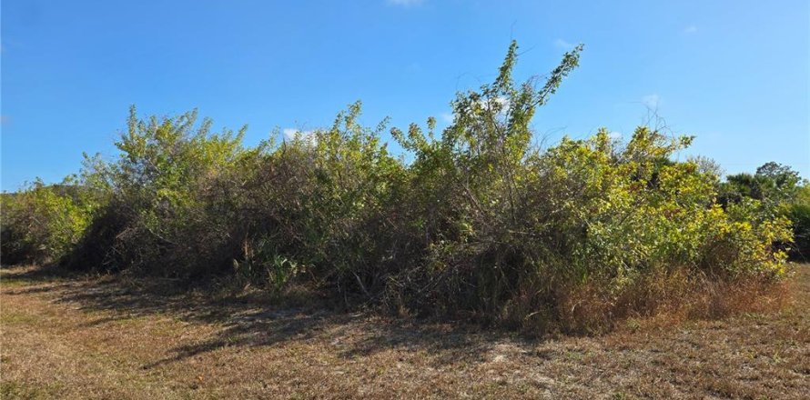 Land in Rotonda, Florida № 2229341