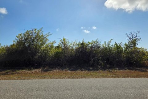 Land in Rotonda, Florida № 2229341 - photo 7