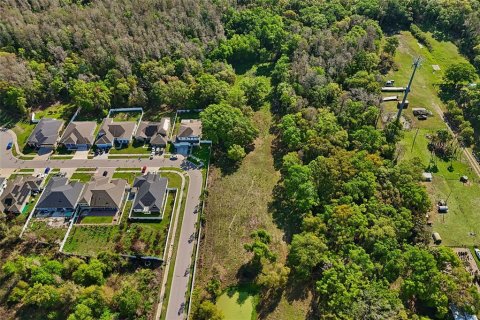 Land in Tampa, Florida № 2155556 - photo 29