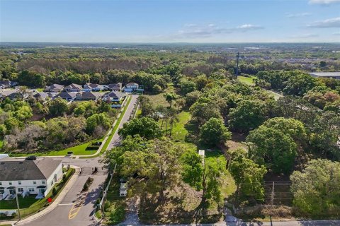 Land in Tampa, Florida № 2155556
