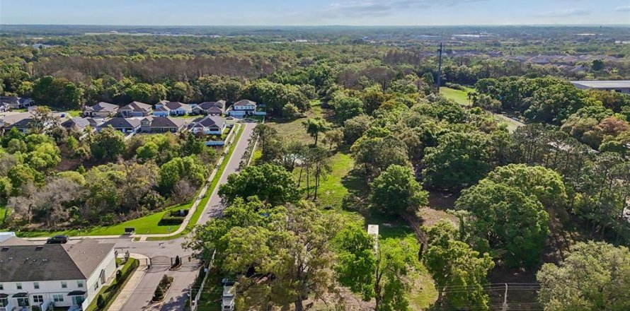 Land in Tampa, Florida № 2155556