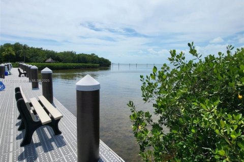 Condo in Tavernier, Florida  № 1464033 - photo 21
