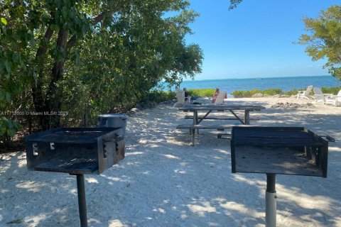 Condo in Tavernier, Florida  № 1464033 - photo 12