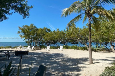 Condo in Tavernier, Florida  № 1464033 - photo 13