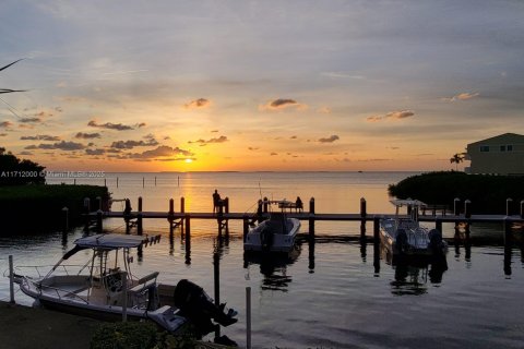 Condo in Tavernier, Florida  № 1464033 - photo 19