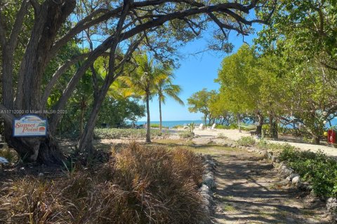 Condo in Tavernier, Florida  № 1464033 - photo 18