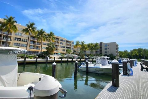 Condo in Tavernier, Florida  № 1464033 - photo 5