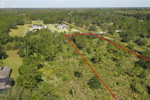 Land in Orlando, Florida № 1884417 - photo 9