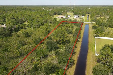 Land in Orlando, Florida № 1884417 - photo 10