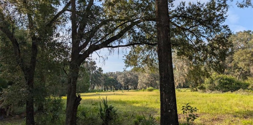 Terrain à Fort MC Coy, Floride № 1905610