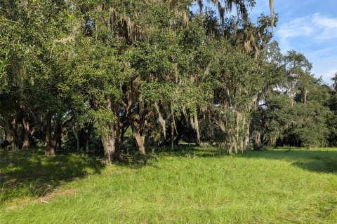 Terreno en venta en Fort MC Coy, Florida № 1905610 - foto 9
