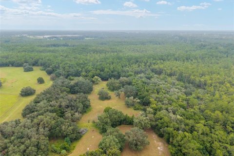 Terreno en venta en Fort MC Coy, Florida № 1905610 - foto 18
