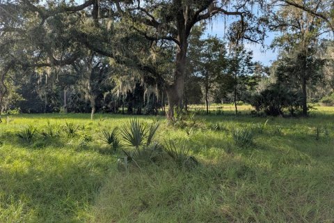 Terreno en venta en Fort MC Coy, Florida № 1905610 - foto 7