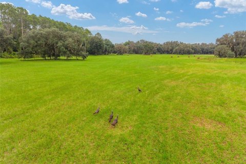Terreno en venta en Fort MC Coy, Florida № 1905610 - foto 15