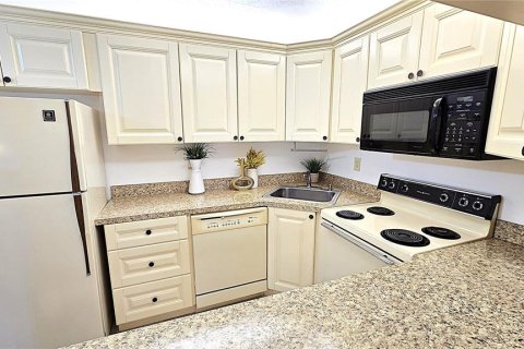 Condo in Tarpon Springs, Florida, 2 bedrooms  № 1900764 - photo 20