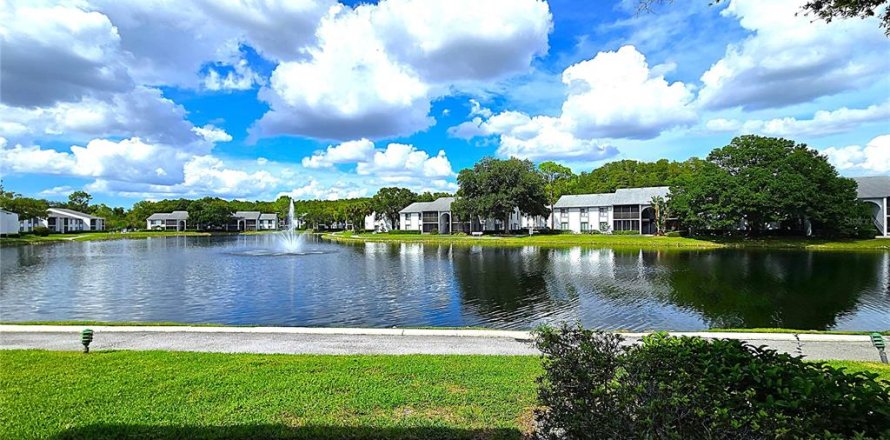Condo in Tarpon Springs, Florida, 2 bedrooms № 1900764