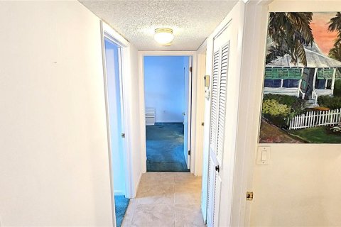 Condo in Tarpon Springs, Florida, 2 bedrooms  № 1900764 - photo 23