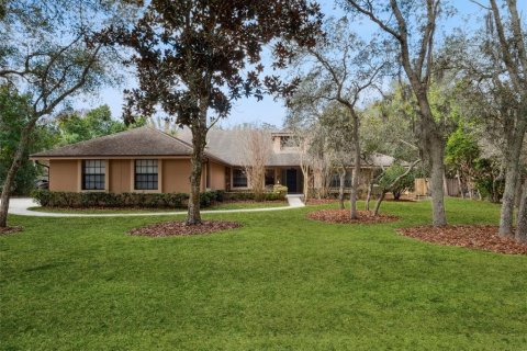 Villa ou maison à Orlando, Floride 4 chambres, 340.21 m2 № 2148179