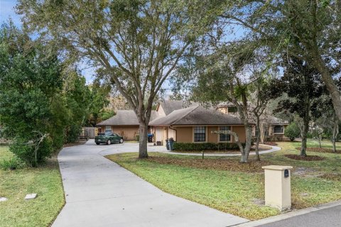Villa ou maison à vendre à Orlando, Floride: 4 chambres, 340.21 m2 № 2148179 - photo 2
