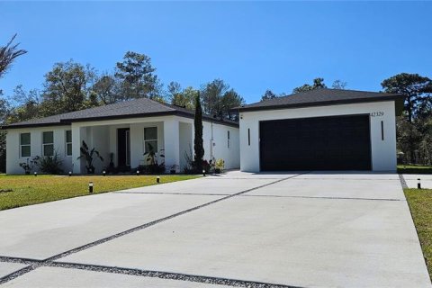 Villa ou maison à vendre à Eustis, Floride: 5 chambres, 231.33 m2 № 1583782 - photo 3
