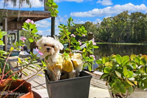 Casa en venta en Satsuma, Florida, 2 dormitorios, 128.21 m2 № 772377 - foto 1