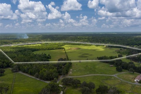 Terrain à Micanopy, Floride № 2229497