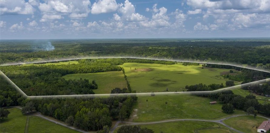 Terrain à Micanopy, Floride № 2229497
