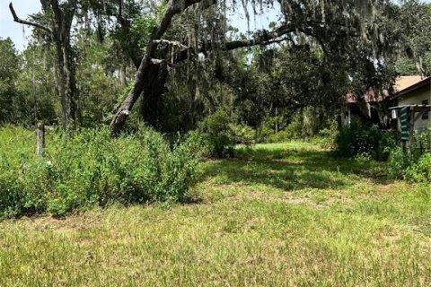 House in Groveland, Florida 3 bedrooms, 168.34 sq.m. № 1843847 - photo 10