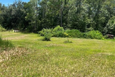 House in Groveland, Florida 3 bedrooms, 168.34 sq.m. № 1843847 - photo 13