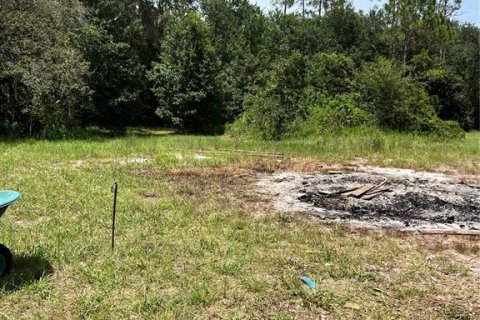 House in Groveland, Florida 3 bedrooms, 168.34 sq.m. № 1843847 - photo 2