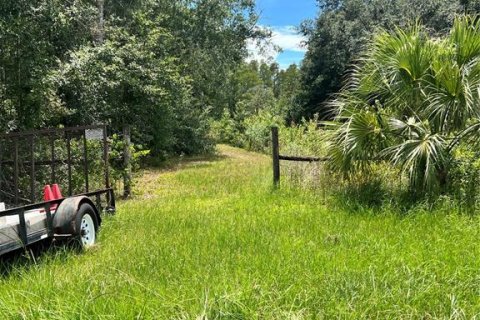 House in Groveland, Florida 3 bedrooms, 168.34 sq.m. № 1843847 - photo 7