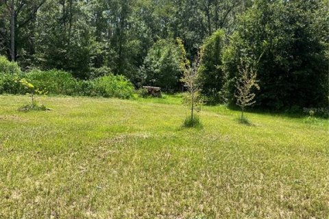 House in Groveland, Florida 3 bedrooms, 168.34 sq.m. № 1843847 - photo 12