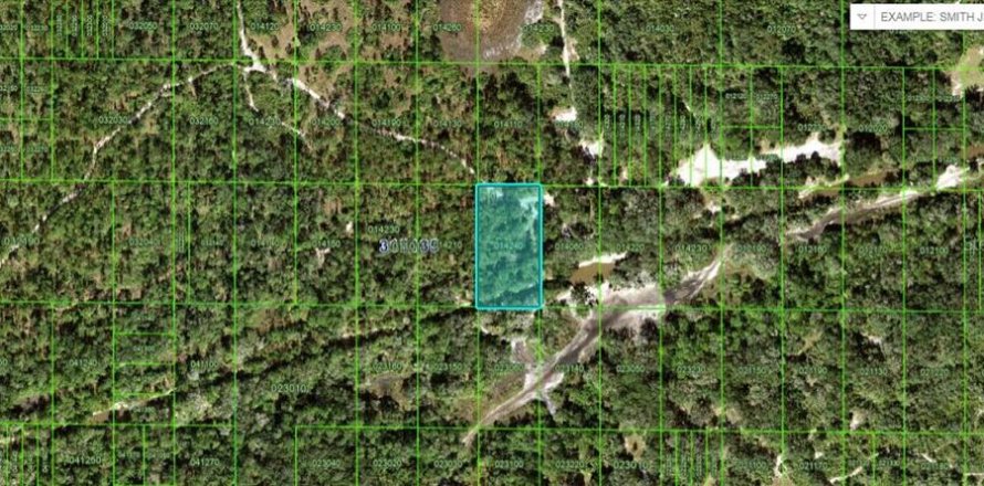 Land in Frostproof, Florida № 2158892
