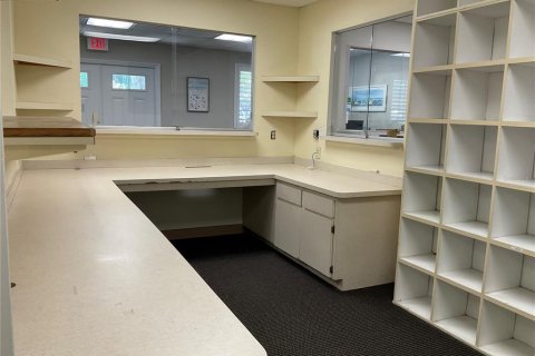Propiedad comercial en alquiler en Dunedin, Florida, 420.85 m2 № 1798170 - foto 3