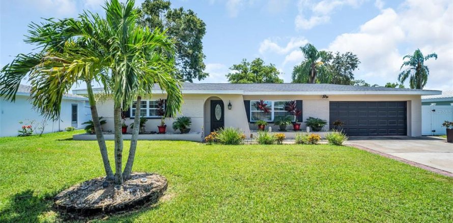 Villa ou maison à Clearwater, Floride 3 chambres, 154.03 m2 № 1905963