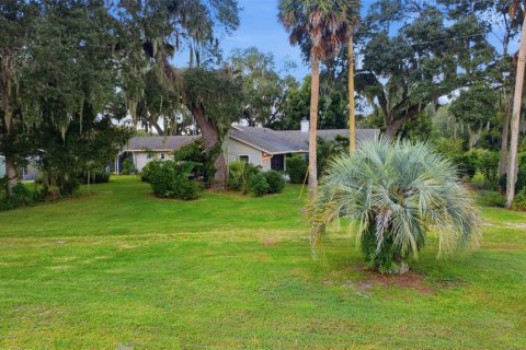 Casa en venta en Umatilla, Florida, 5 dormitorios, 458.57 m2 № 2420585 - foto 7