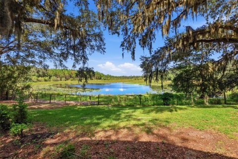 Casa en venta en Umatilla, Florida, 5 dormitorios, 458.57 m2 № 2420585 - foto 2