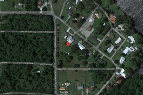 Land in Crescent City, Florida № 2160513 - photo 4