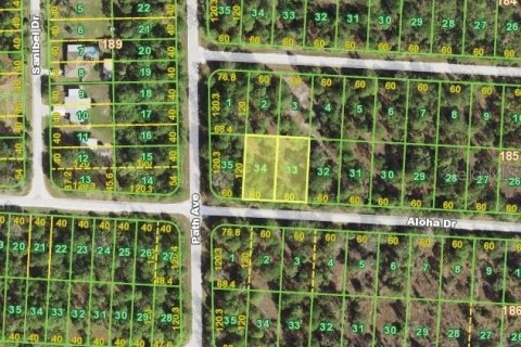 Land in Punta Gorda, Florida № 2224106 - photo 5