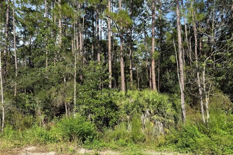 Land in DeLand, Florida № 2369726