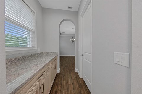 House in Lutz, Florida 4 bedrooms, 419.18 sq.m. № 2360511 - photo 17