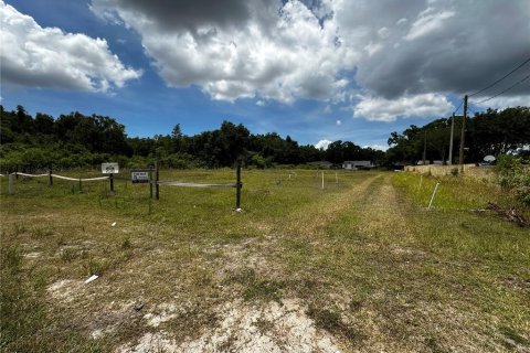 Land in Tampa, Florida № 2100472