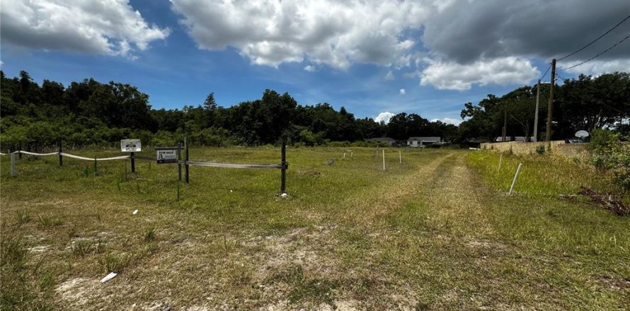 Land in Tampa, Florida № 2100472