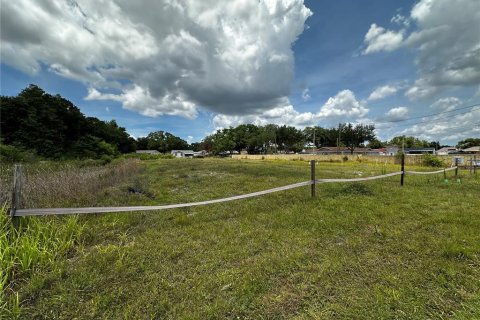 Land in Tampa, Florida № 2100472 - photo 2