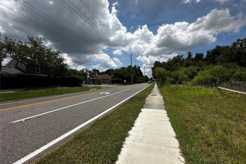 Land in Tampa, Florida № 2100472 - photo 3
