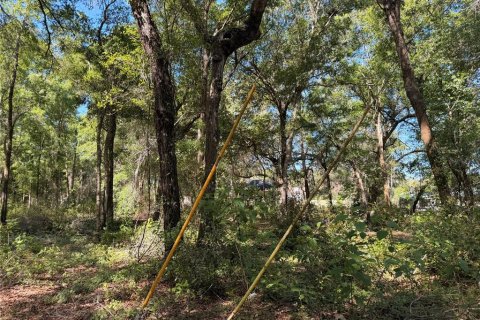 Land in Brooksville, Florida № 2166787 - photo 3