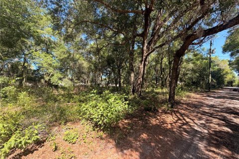 Land in Brooksville, Florida № 2166787 - photo 4